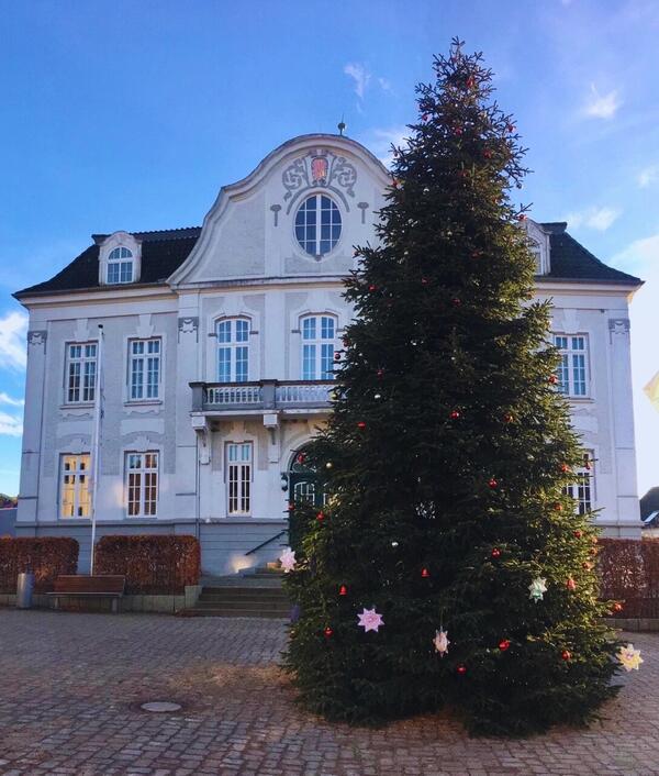 Tannenbaum vor dem altem Rathaus